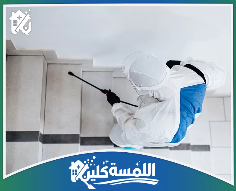 شركة مكافحة حشرات افضل عمالة بالرياض شركة مكافحة حشرات افضل عمالة بالرياض