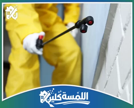 شركة مكافحة حشرات بالرياض