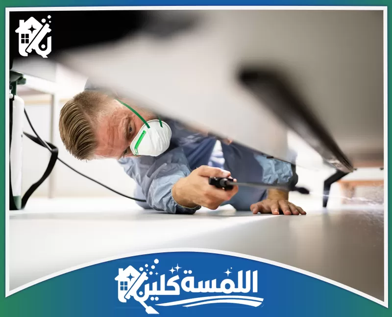 مكافحة النمل الأبيض بالرياض مكافحة النمل الأبيض بالرياض